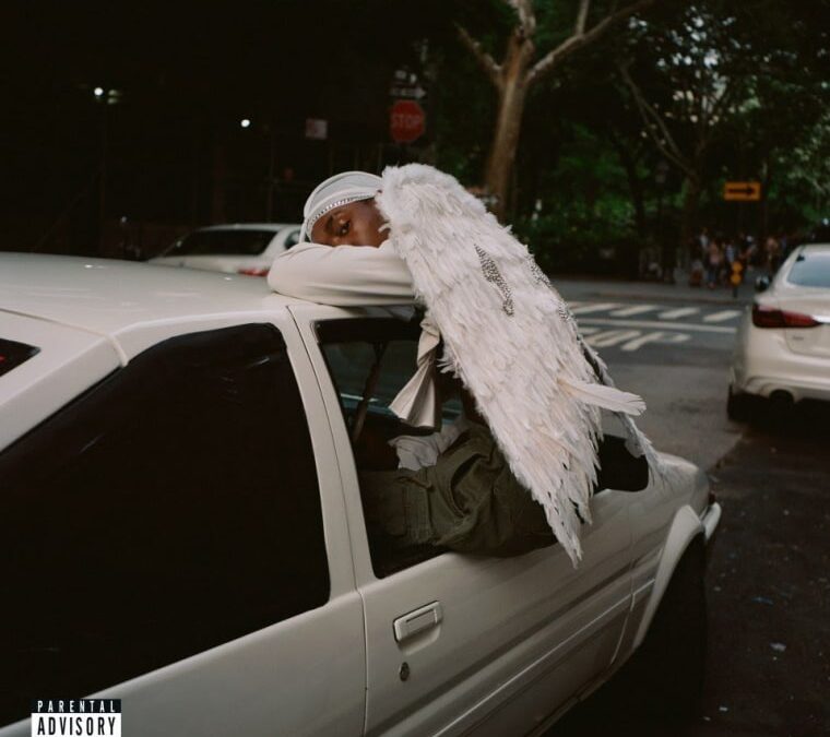 Blood Orange finds his voice with Negro Swan