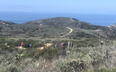 Everybody Has a Story: Local Writers and the Art of Storytelling in Laguna Beach