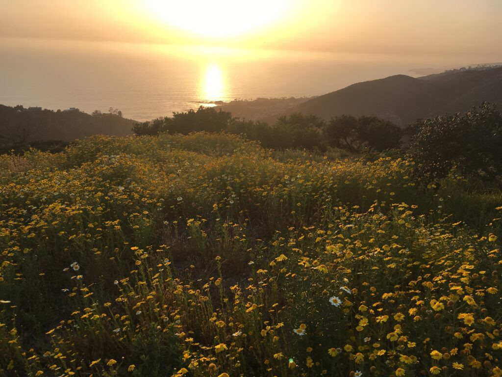 Sharael Travels: Exploring Scottsdale, Arizona