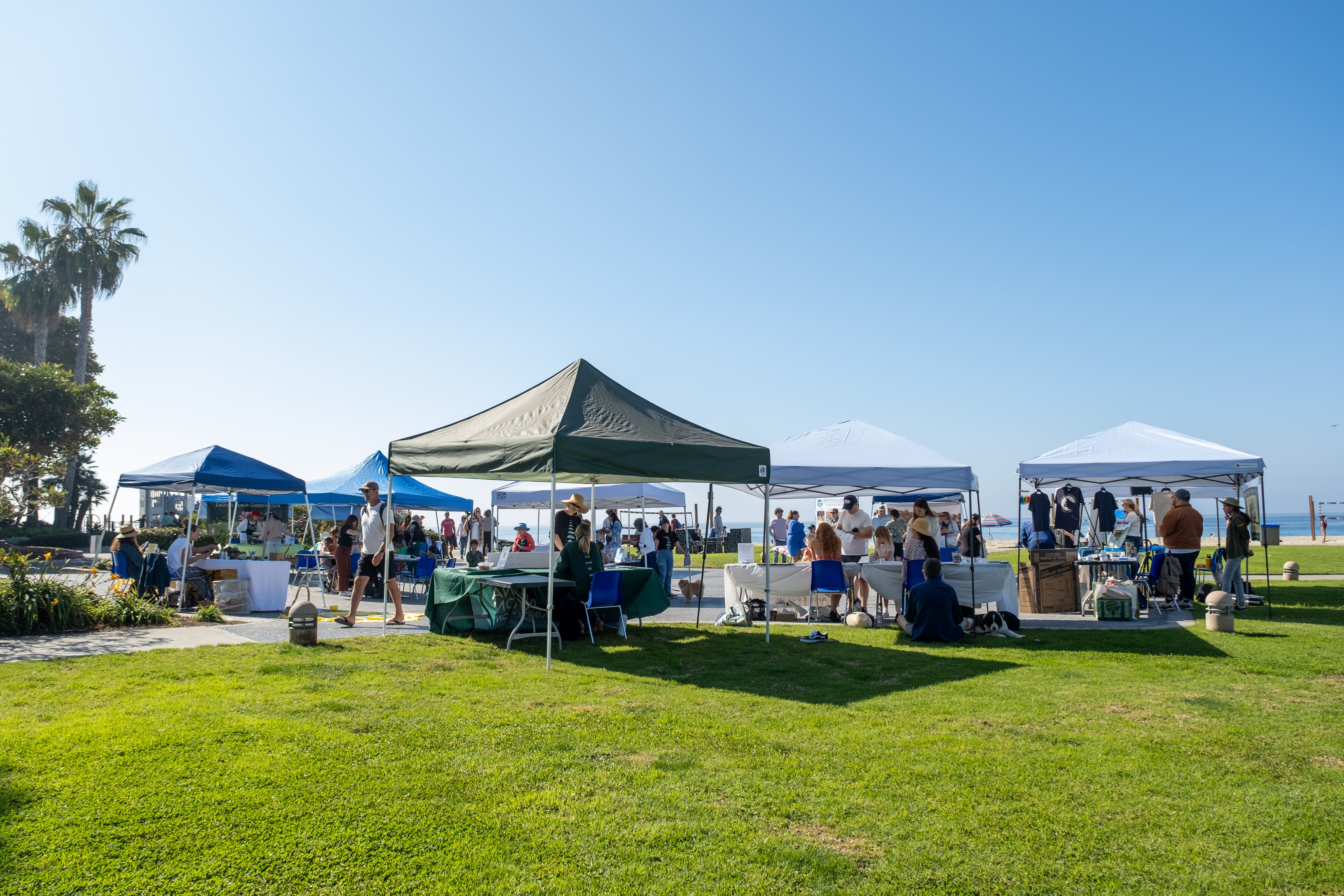 Art + Nature Block Party